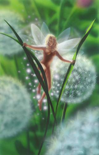 human fairy